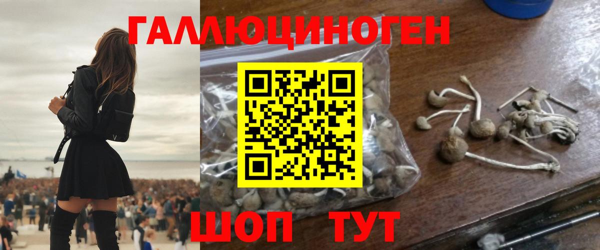 Псилоцибиновые грибы GOLDEN TEACHER  Вход с VPN  Кандалакша 